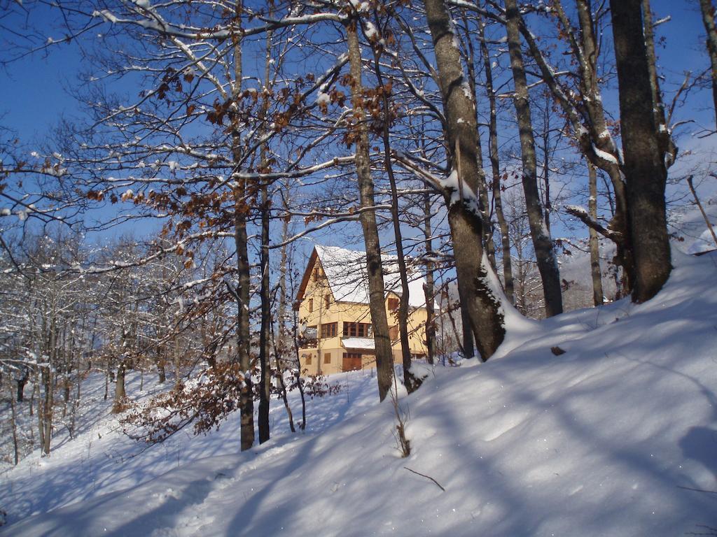 Guest House Tara Canyon Pljevlja Exteriör bild