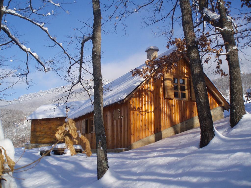 Guest House Tara Canyon Pljevlja Exteriör bild