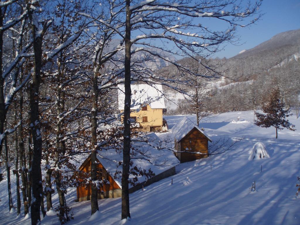 Guest House Tara Canyon Pljevlja Exteriör bild
